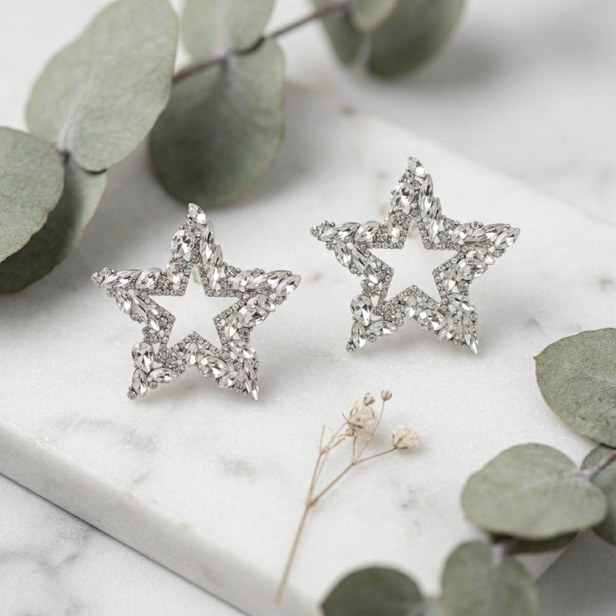AKA Silver Star Clear Crystal Edged Stud Earrings