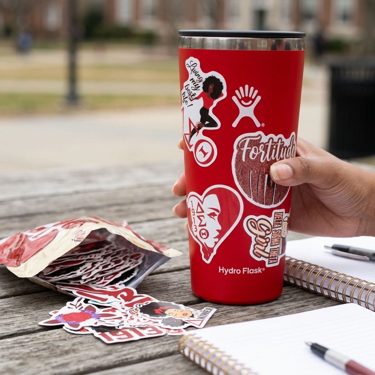 Delta Sigma Theta 60 Piece Sticker Set